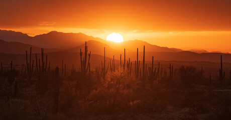 Orange sunset over the desert 