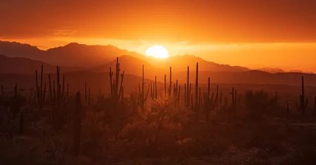 Fototapete Orange sunset over the desert  © Mary