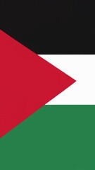Palestine flag illustration