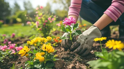 Tuinposter Gardener planting flowers in the garden © Dianne