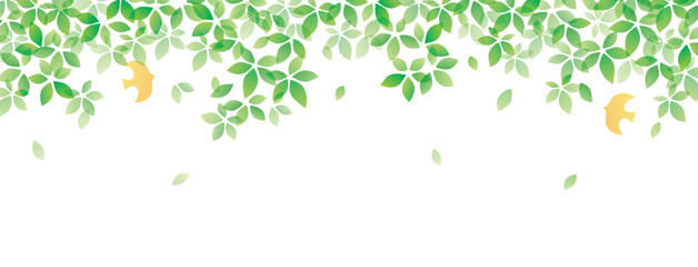 爽やかな葉っぱの木陰と鳥の背景 © まるまる