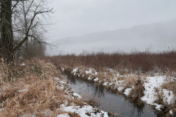 Looking at a ditch along Rannie Road near the Grant Narrows Regional Park and Pitt River Dike...