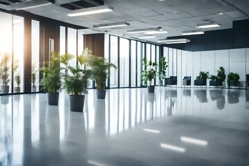 empty office hall with potted plants in the window