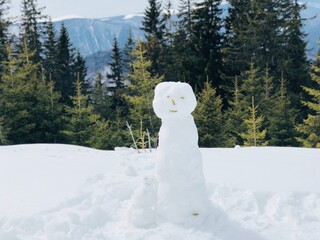 snowman in the forest