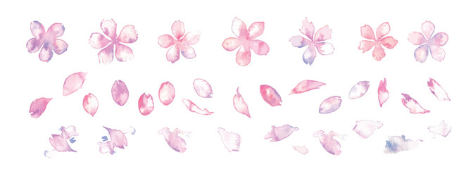 水彩画。水彩タッチの桜イラスト。桜のベクターイラスト。水彩で描いた手描きの桜和素材。Watercolor painting. Cherry blossom illustration with watercolor touch. Vector illustration of cherry blossoms. Watercolor hand-drawn cherry blossoms Japanese