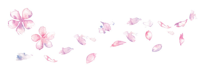 水彩画。水彩タッチの桜イラスト。桜のベクターイラスト。水彩で描いた手描きの桜和素材。Watercolor painting. Cherry blossom illustration with watercolor touch. Vector illustration of cherry blossoms. Watercolor hand-drawn cherry blossoms Japanese