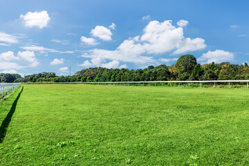 Empty meadow and mountains with forest background