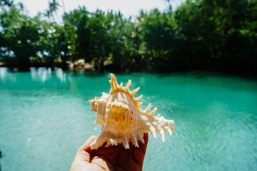 Sea shell on hand against the background of the sea, Relaxation, peace and pleasant mention of the sea. The beautiful conch in hand, against a seascape background.