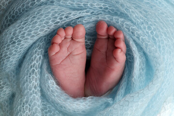 The tiny foot of a newborn baby. Soft feet of a new born in a blue wool blanket. Close up of toes,...