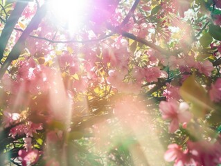 Azalea and Cherry Blossoms in Radiant Sun Flare, a Vivid Spring Floral Explosion