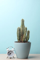 Cactus pot and alarm clock on the table. Home decor