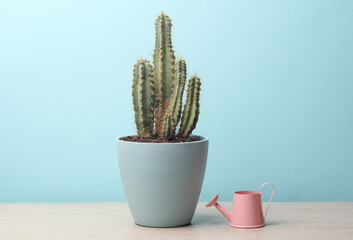 Caring for house plants. Catus pot and  watering can on the table
