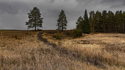 autumn in the mountains