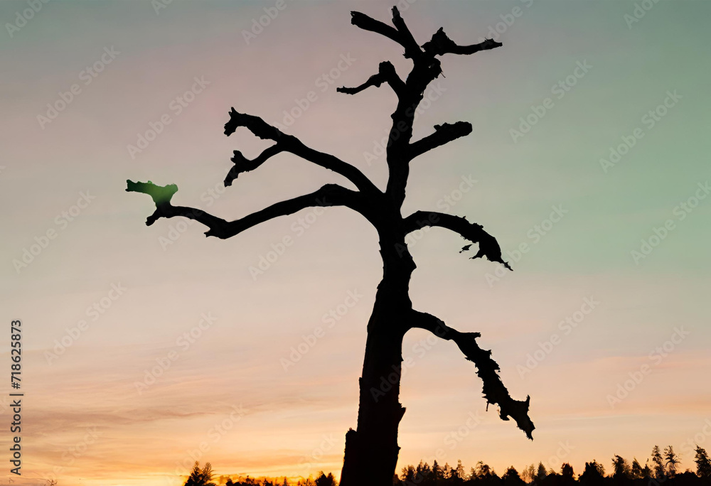 Poster tree on the field