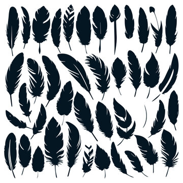 set of bird different types feathers silhouettes