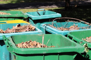 Leaves and Tree Branches Trash in Two-Wheel Cart Trash Cans