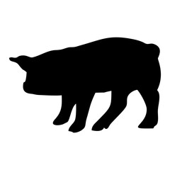 silhouette of a black pig walking