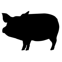 silhouette of a black pig walking