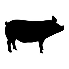 silhouette of a black pig walking