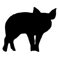 silhouette of a black pig walking