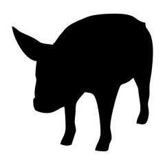 silhouette of a black pig walking
