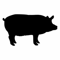 silhouette of a black pig walking