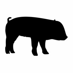 silhouette of a black pig walking