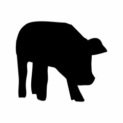 silhouette of a black pig walking