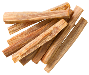 Cedar wood sticks isolated on white background, top view.