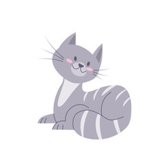 Cute smiling cat. Funny grey kitten. Pet animal isolated on white background.