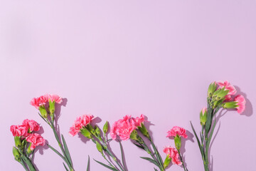 Minimalistic nature concept with copy space and several fresh flowers in pink color featured. Blank space for beauty product advertising. Greeting card design for International Women's Day content