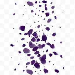 Obraz premium Delicate Tulip Blur Vector White Transparent