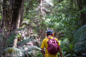 exploring in a rainforest on a trail with a backpack and hiking boots in spring