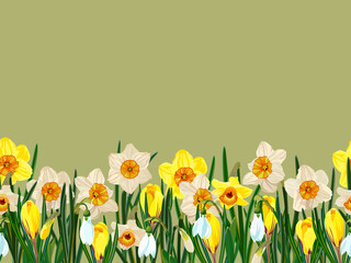 Horizontal flower border of daffodils, hyacinths, snowdrops, crocuses.