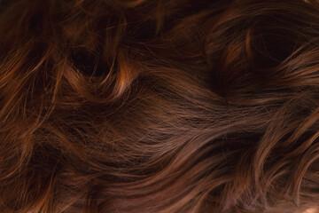 Woman head showcasing styled auburn hairstyle with soft waves. Detailed view of shiny hair...