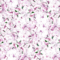 Seamless floral pattern. White, pink hydrangea flowers.