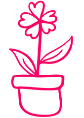 pink flower in a pot