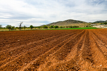 Prepared Farmland with Distinctive Furrows Under Cloudy Sky