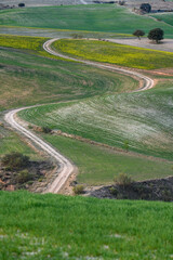 Winding Dirt Road through Multicolored Agricultural Fields