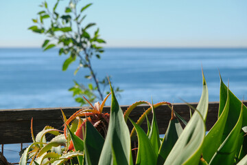 Breathtaking scenic and landscape view of coastline of Rancho Palos Verdes with vegetation and...