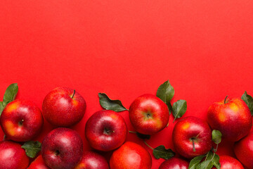 Many red apples on colored background, top view. Autumn pattern with fresh apple above view with...