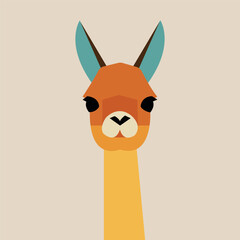 lama vector illustration