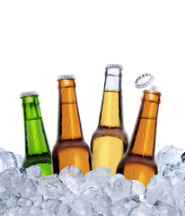 four bottles of beer in ice cubes, transparent background
