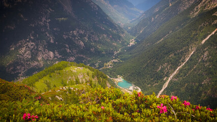 Beautiful view of Dolomiti Italian Alps, UNESCO World Heritage site, with flowers in the foreground.