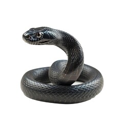 Fototapeta premium Black Mamba Snake in natural pose isolated on white background, photo realistic