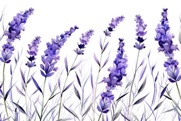 watercolor background of colorful lavender flowers - obrazy, fototapety, plakaty