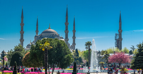 Blue Mosque - The most important mosque in Istanbul