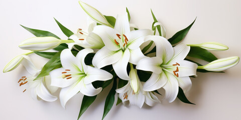 Obraz premium The Grace of White Lilie on white background. by AI generate.