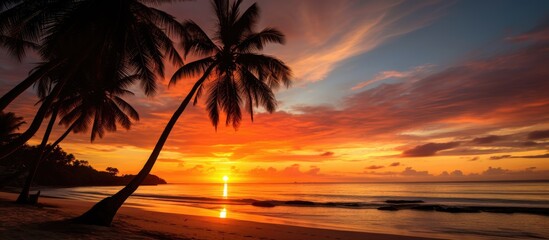 With selective focus, a stunning view of a dramatic sunset serves as the backdrop, while the silhouette of coconut palm trees captivate in the foreground on White Beach.