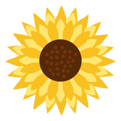 flat sun flower element